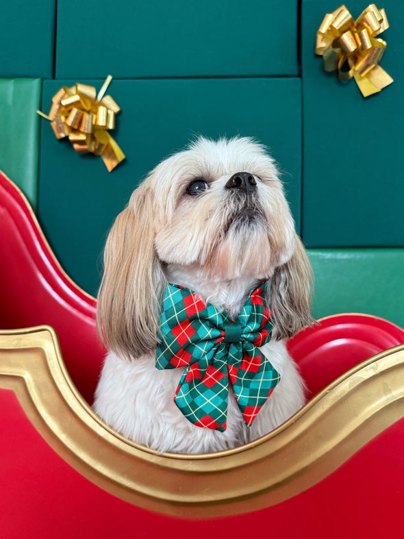 Evergreen Argyle - Dog Sailor Bowtie