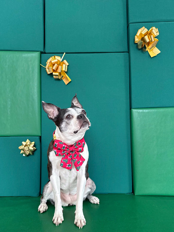 Sugarplum Trees - Dog Sailor Bowtie