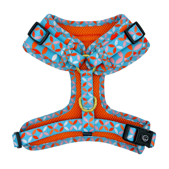 Santorini - Adjustable Dog Harness - FINAL SALE