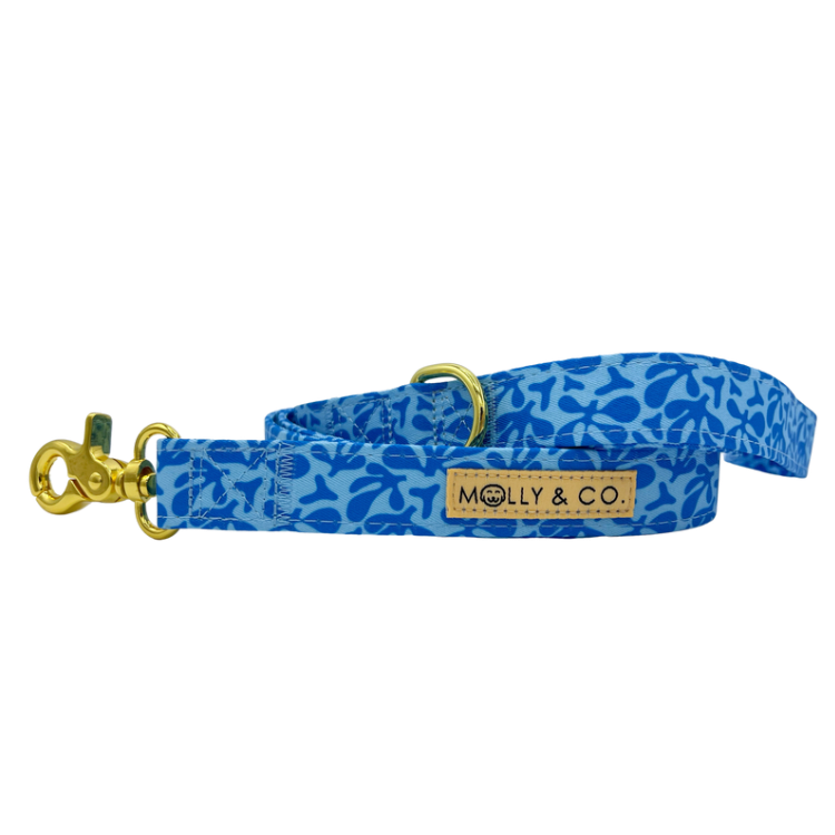 Blue Marina - Dog Leash - FINAL SALE