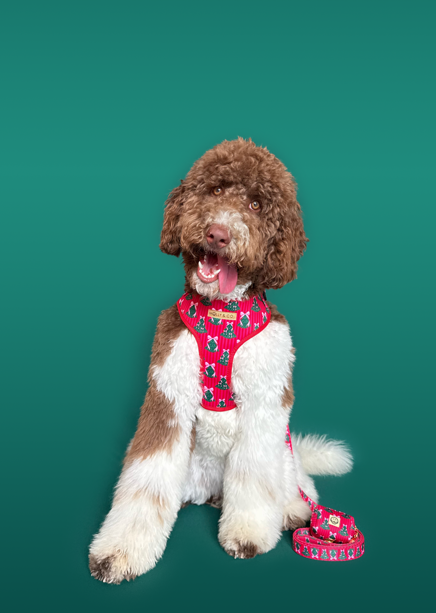 Sugarplum Trees - Dog Leash