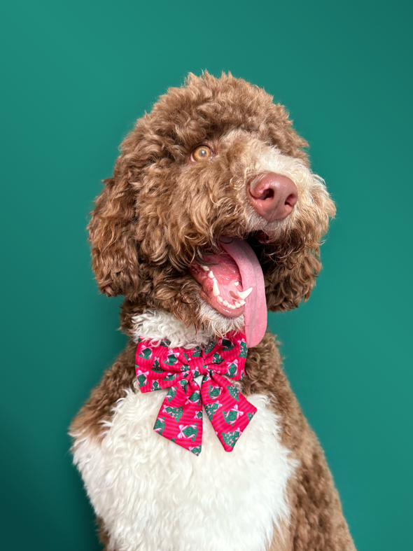 Sugarplum Trees - Dog Sailor Bowtie
