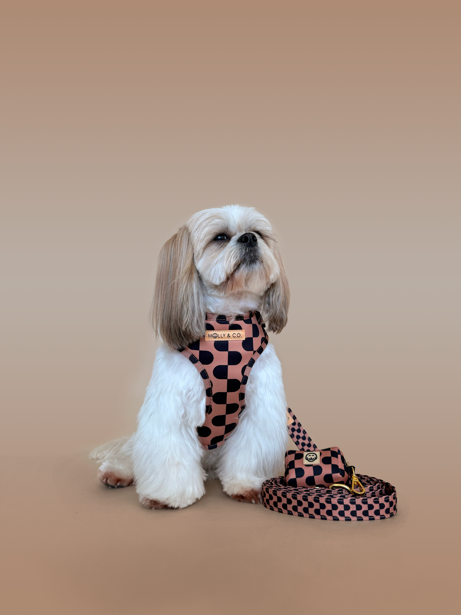 Moonrise - Walking Bundle