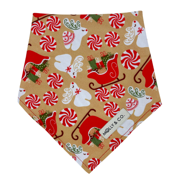 Puppermint - Reversible Dog Bandana