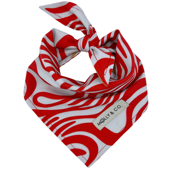 Puppermint - Reversible Dog Bandana