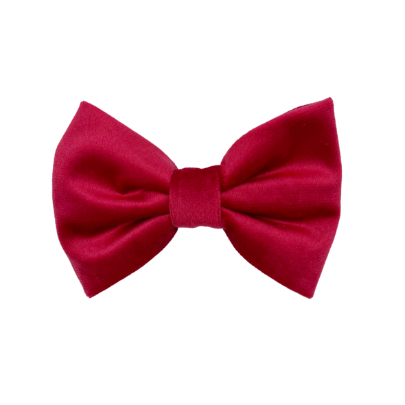 Scarlet Velvet - Dog Bowtie