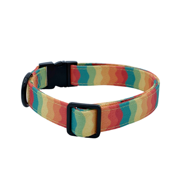 Sunset Paws - Dog Collar - FINAL SALE