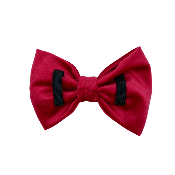 Scarlet Velvet - Dog Bowtie