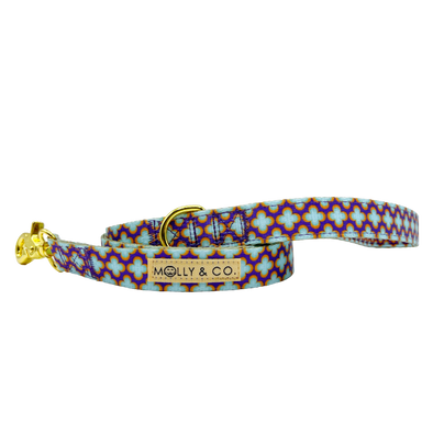 Florentino - Dog Leash - FINAL SALE