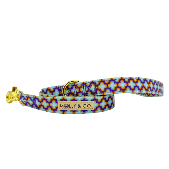 Florentino - Dog Leash - FINAL SALE