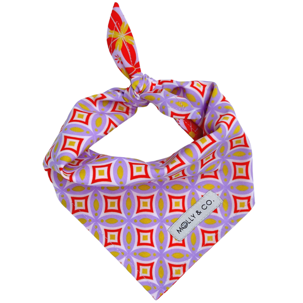 The Gem - Reversible Dog Bandana - FINAL SALE