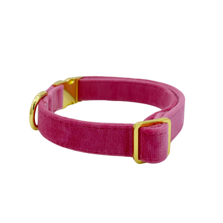 Rose Velvet - Dog Collar