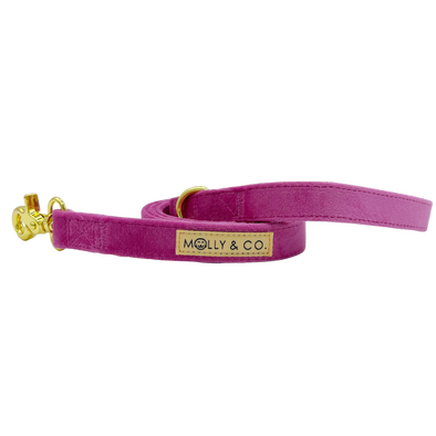 Rose Velvet - Dog Leash