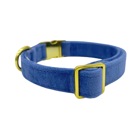 Denim Velvet - Dog Collar