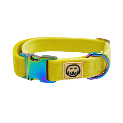 Sunshine Velvet - Dog Collar