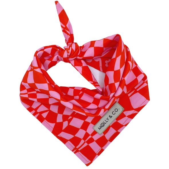 Cherry Red - Reversible Dog Bandana