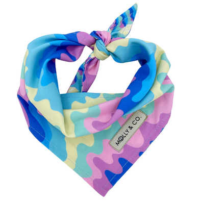 Ice Cream - Reversible Dog Bandana - FINAL SALE