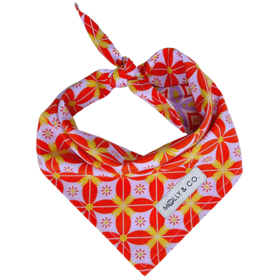 The Gem - Reversible Dog Bandana - FINAL SALE