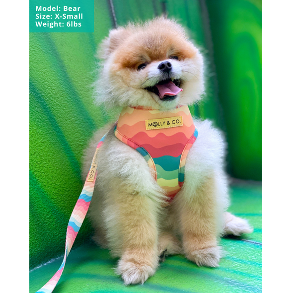 Sunset Paws - Reversible Dog Harness - FINAL SALE