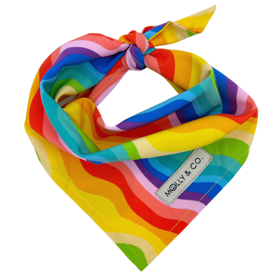 Love is Love - Dog Bandana