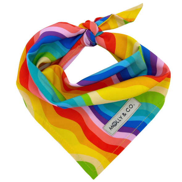 Love is Love - Dog Bandana