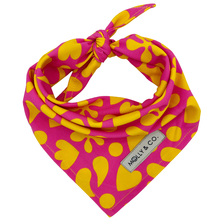 Sunny Vibes - Reversible Dog Bandana