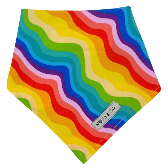 Love is Love - Dog Bandana