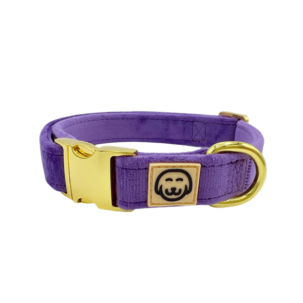 Violet Velvet - Dog Collar