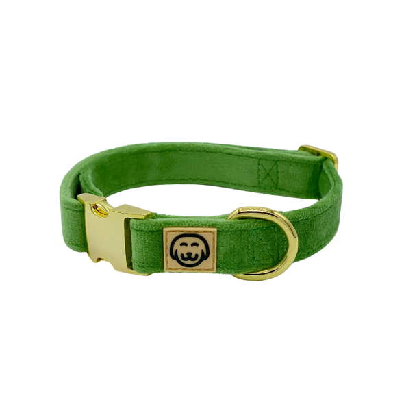 Fern Velvet - Dog Collar