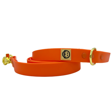 Vivid Orange - Splashproof Dog Leash - FINAL SALE