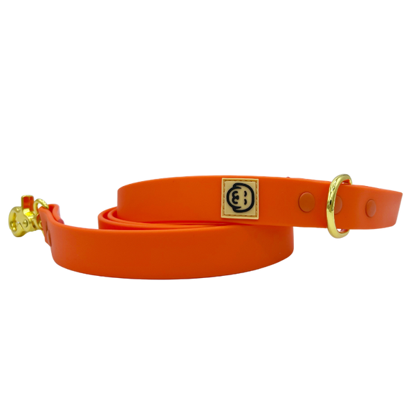 Vivid Orange - Splashproof Dog Leash - FINAL SALE