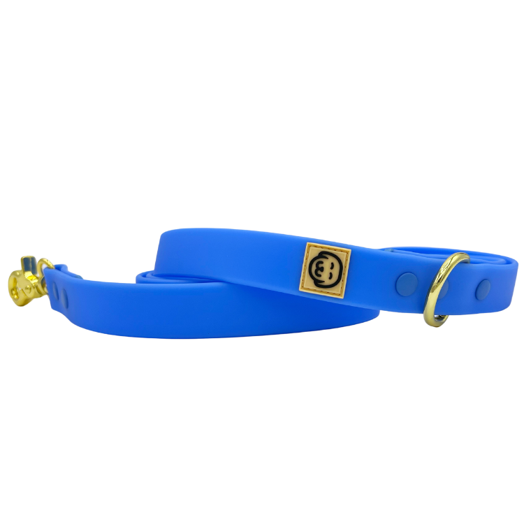 Sky Blue - Splashproof Dog Leash - FINAL SALE