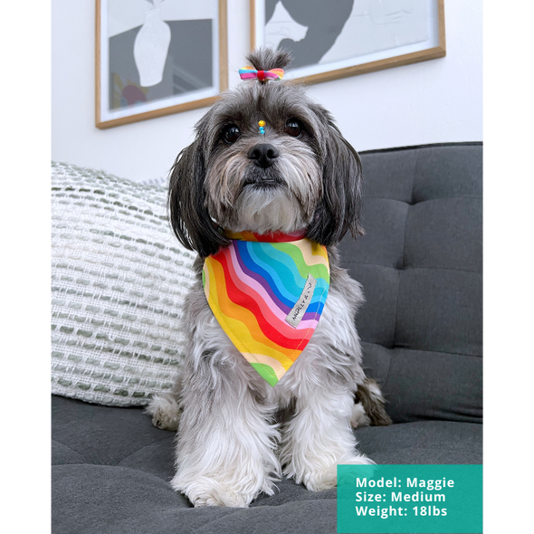 Love is Love - Dog Bandana