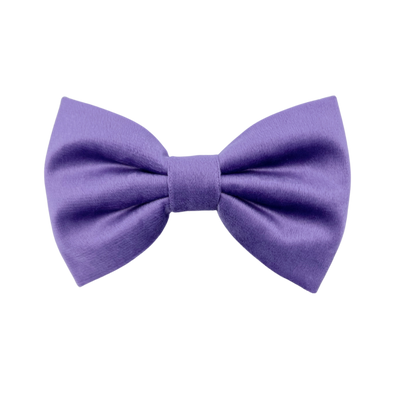 Violet Velvet - Dog Bowtie