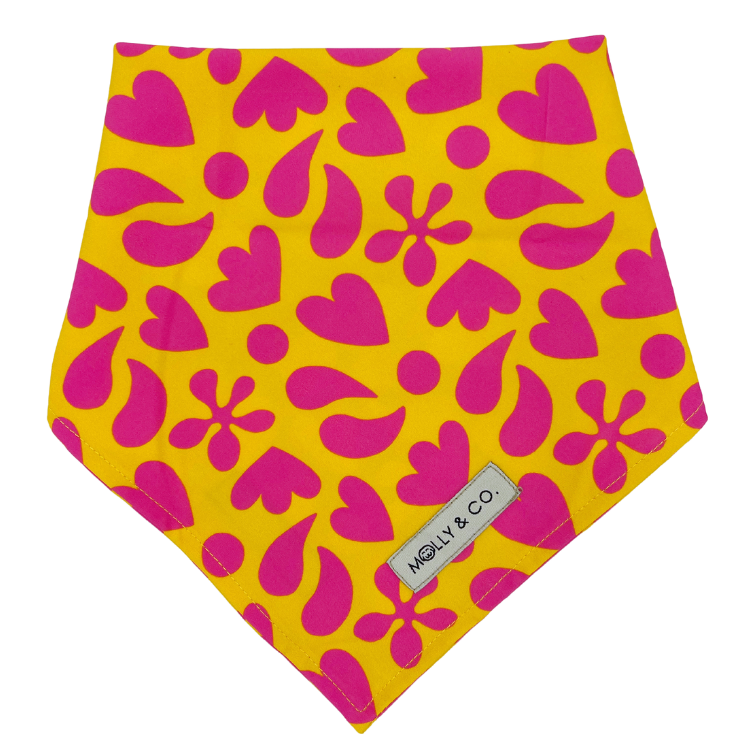 Sunny Vibes - Reversible Dog Bandana