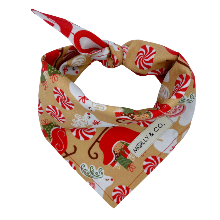 Puppermint - Reversible Dog Bandana