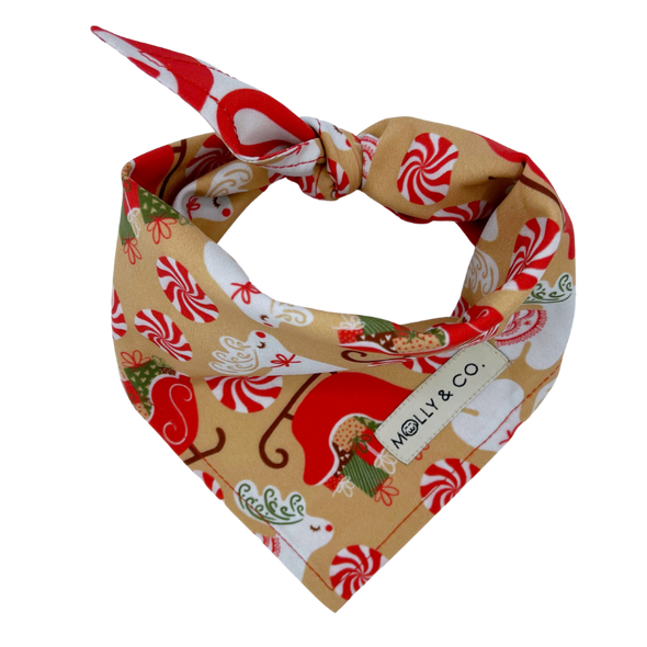 Puppermint - Reversible Dog Bandana