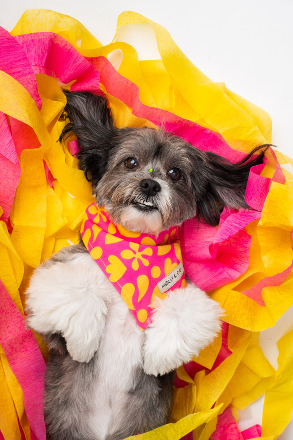 Sunny Vibes - Reversible Dog Bandana