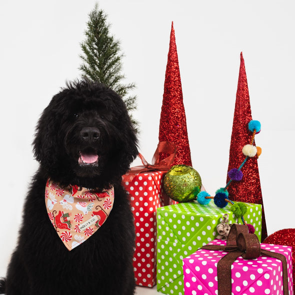 Puppermint - Reversible Dog Bandana