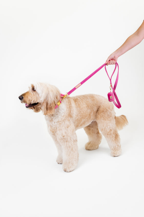 Rose Velvet - Dog Leash