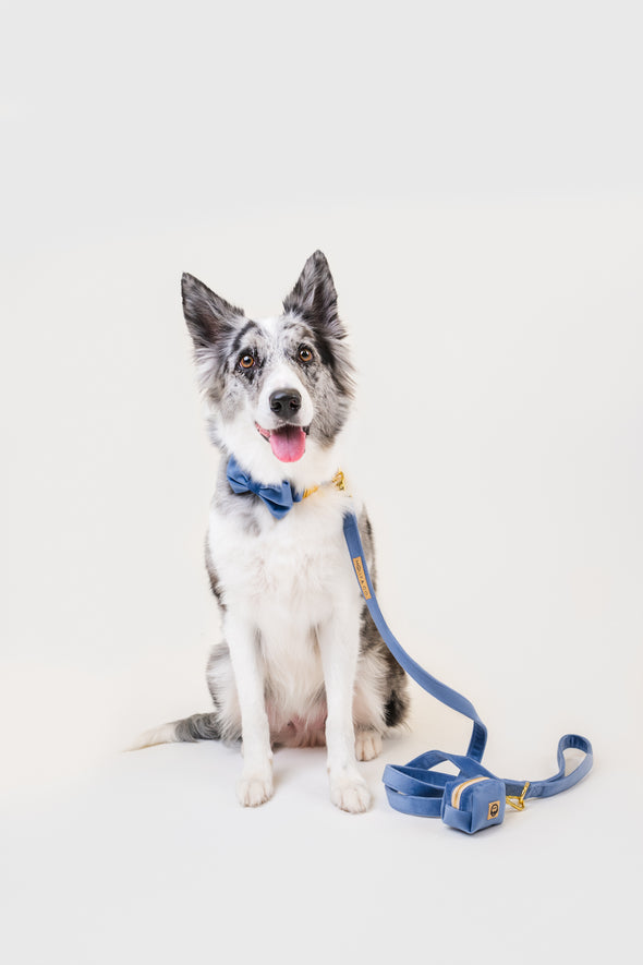 Denim Velvet - Dog Poop Bag Holder