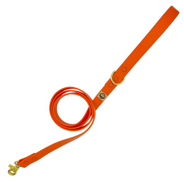 Vivid Orange - Splashproof Dog Leash - FINAL SALE