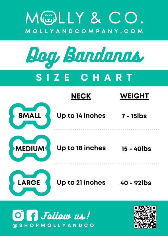 Puppermint - Reversible Dog Bandana