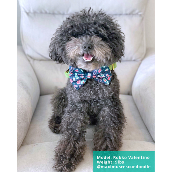 Jolly Doggy - Dog Bowtie - FINAL SALE