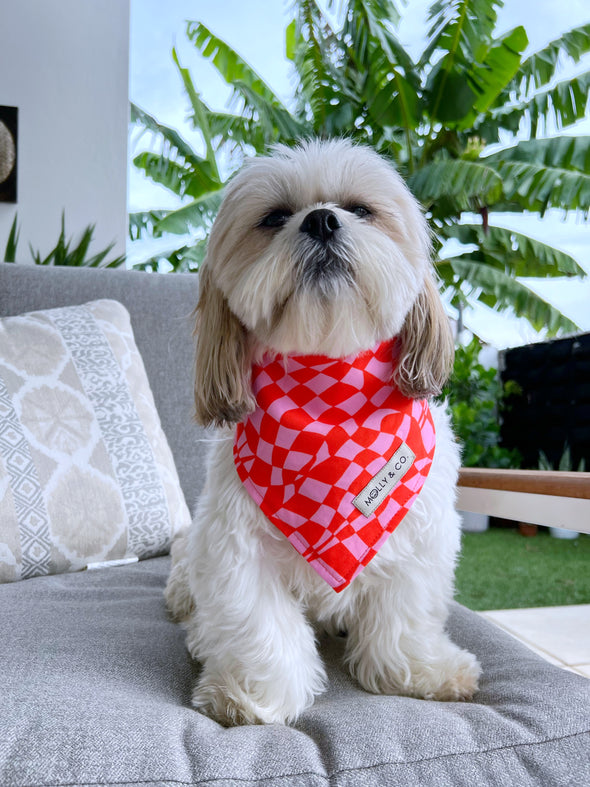 Cherry Red - Reversible Dog Bandana