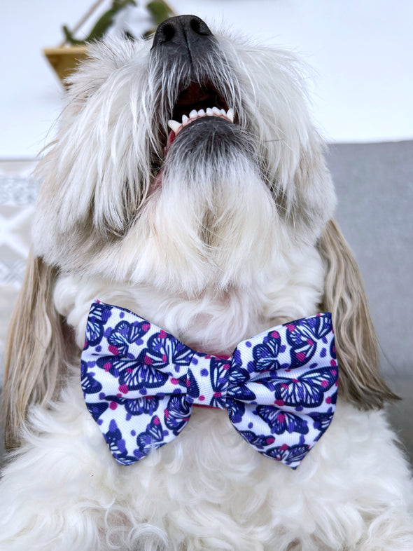 Monarch - Dog Bowtie - FINAL SALE